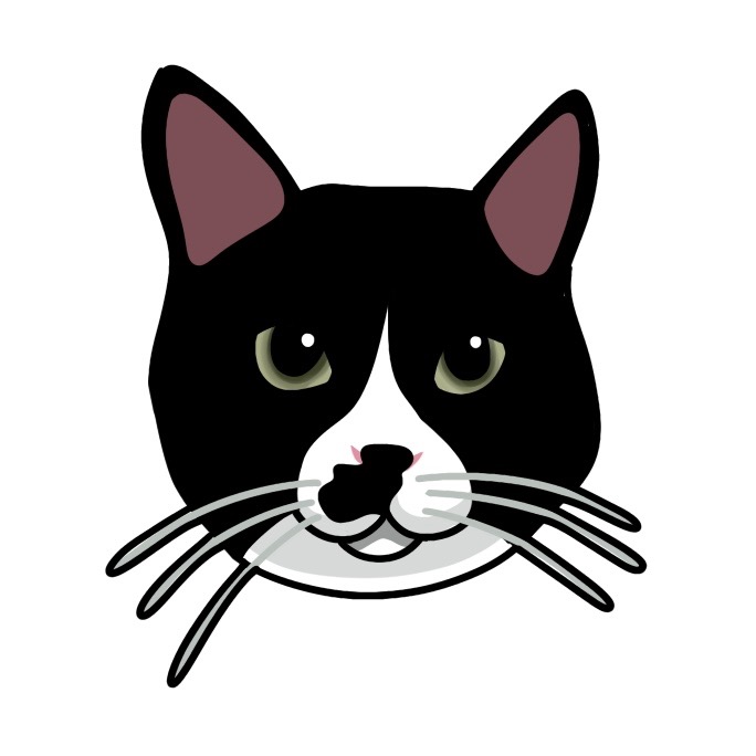 Mowgli the tuxedo cat